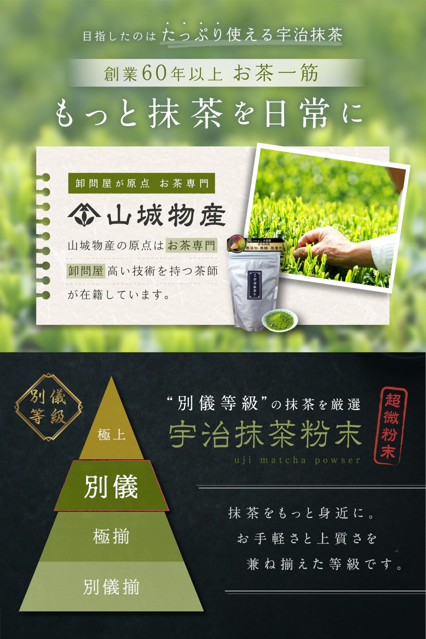 amashiro Matcha – Premium Uji Matcha Powder 250g (Made in Japan)